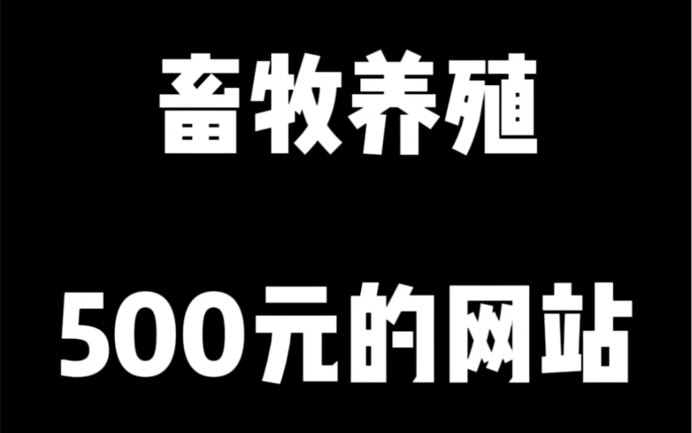 500元帮畜牧养殖公司制作的网站哔哩哔哩bilibili