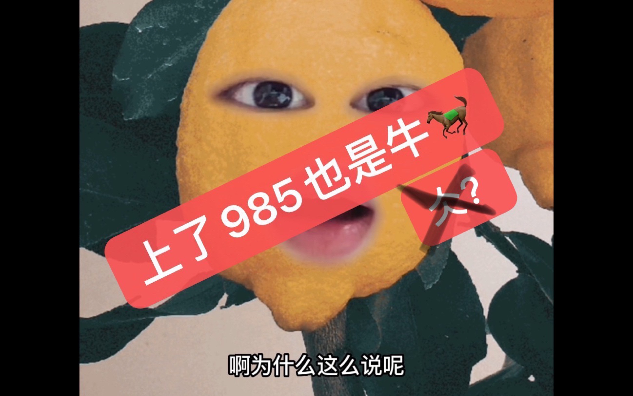 上了985,然后呢,,,哔哩哔哩bilibili