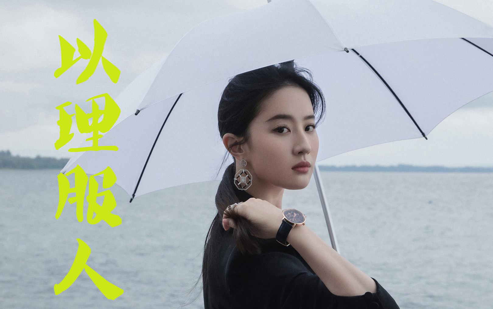 以理服人月下蝶影著又名老金家的门不好进