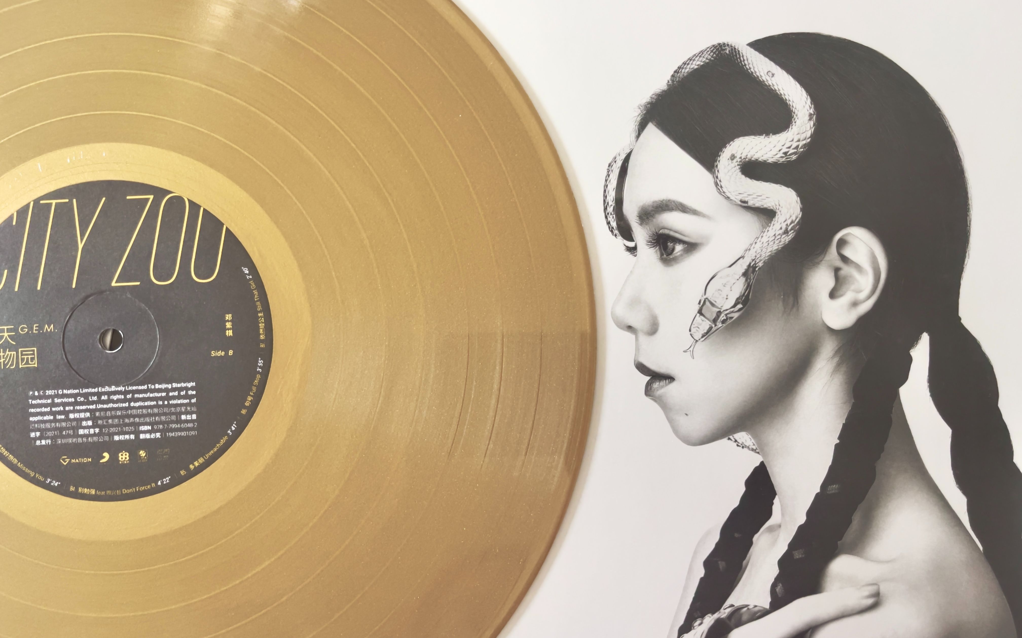 【黑胶内录】《好想好想你》邓紫棋