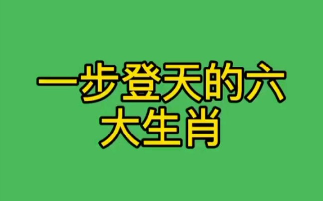 一步登天的六大生肖哔哩哔哩bilibili