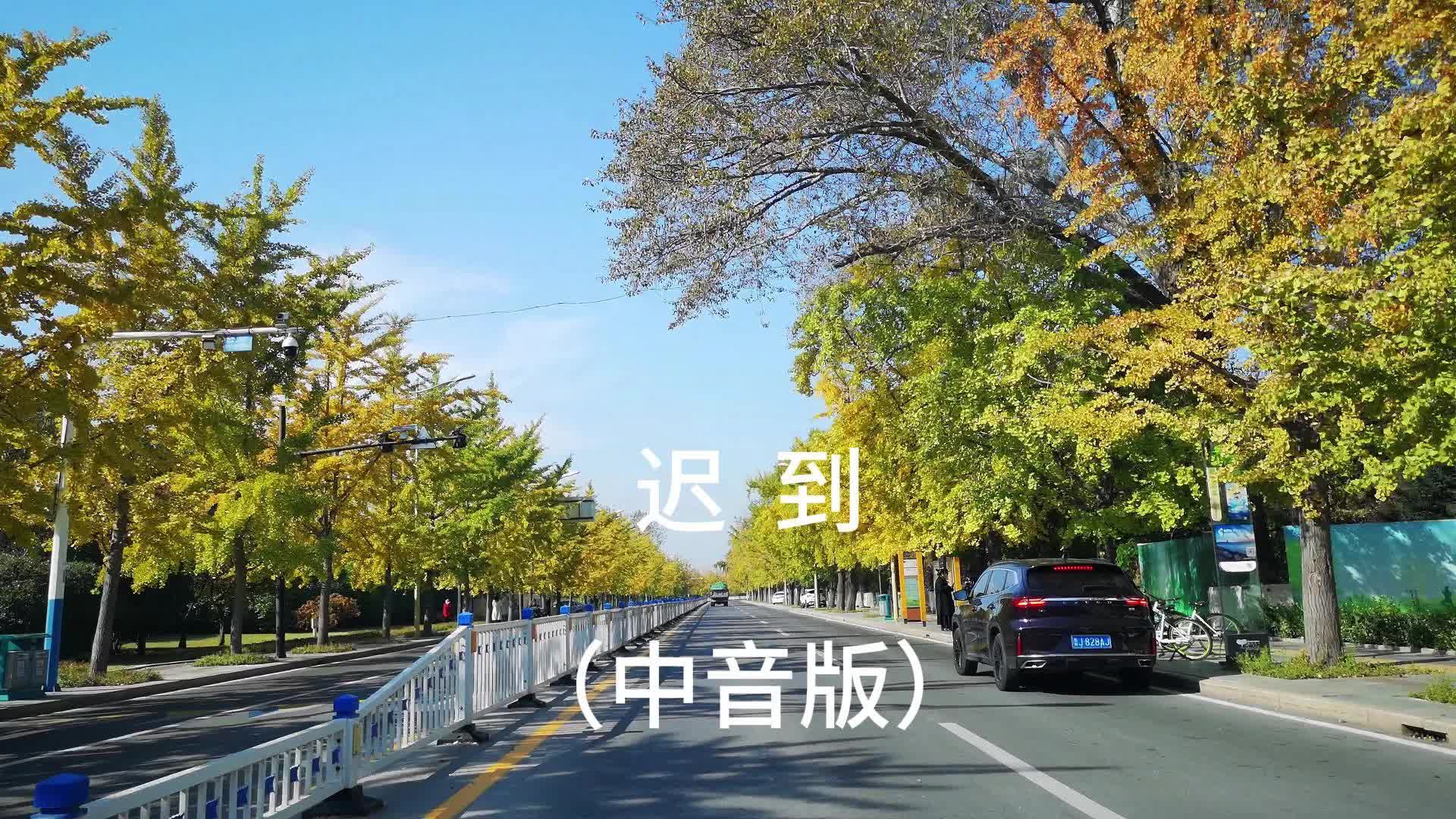《迟到》怀旧金曲校园歌曲中音版萨克斯独奏saxophone cover