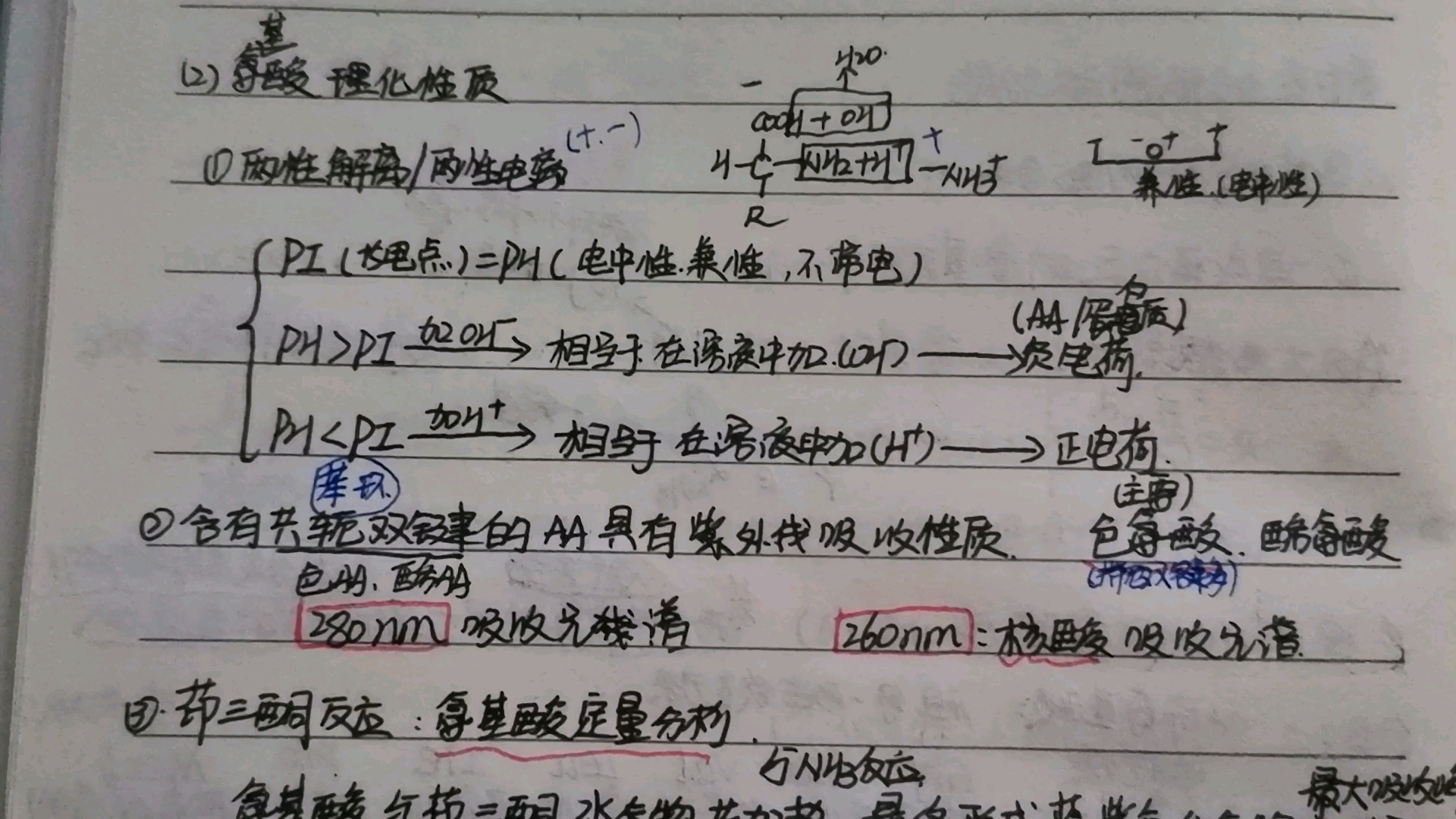 氨基酸和蛋白质的理化性质哔哩哔哩bilibili