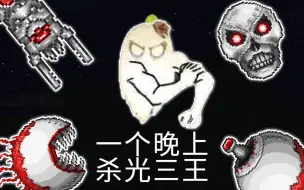 Download Video: 【泰拉瑞亚】全护佑阿比盖尔一晚打完三王