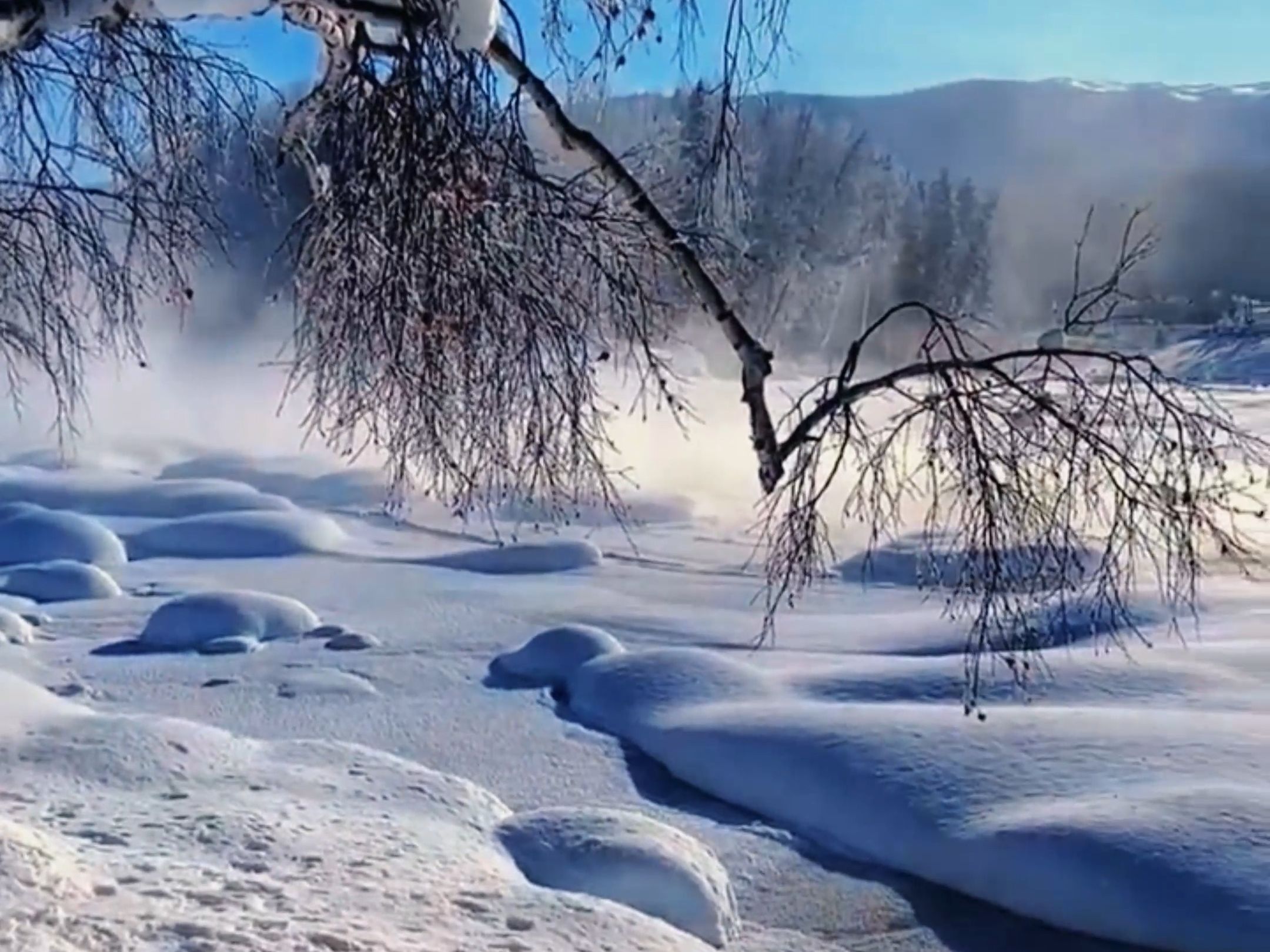 冰雪精灵——雾凇图片