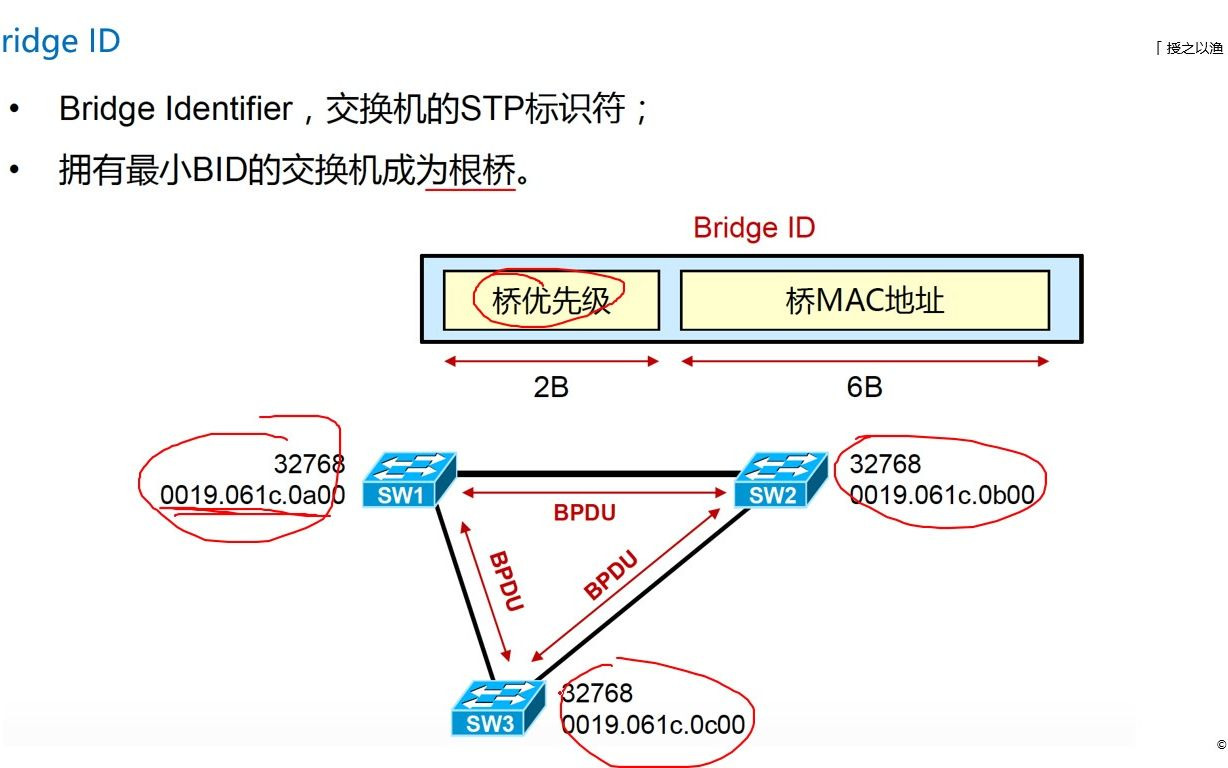 生成树协议STP计算过程解读,二层防环协议哔哩哔哩bilibili