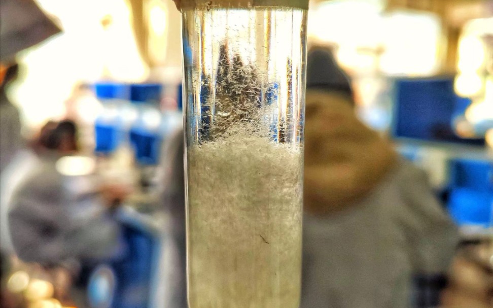 超级治愈硝酸钾结晶雨!三分钟原速记录晶体析出过程!