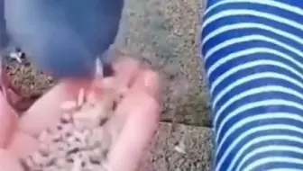 沙雕网友欢乐多