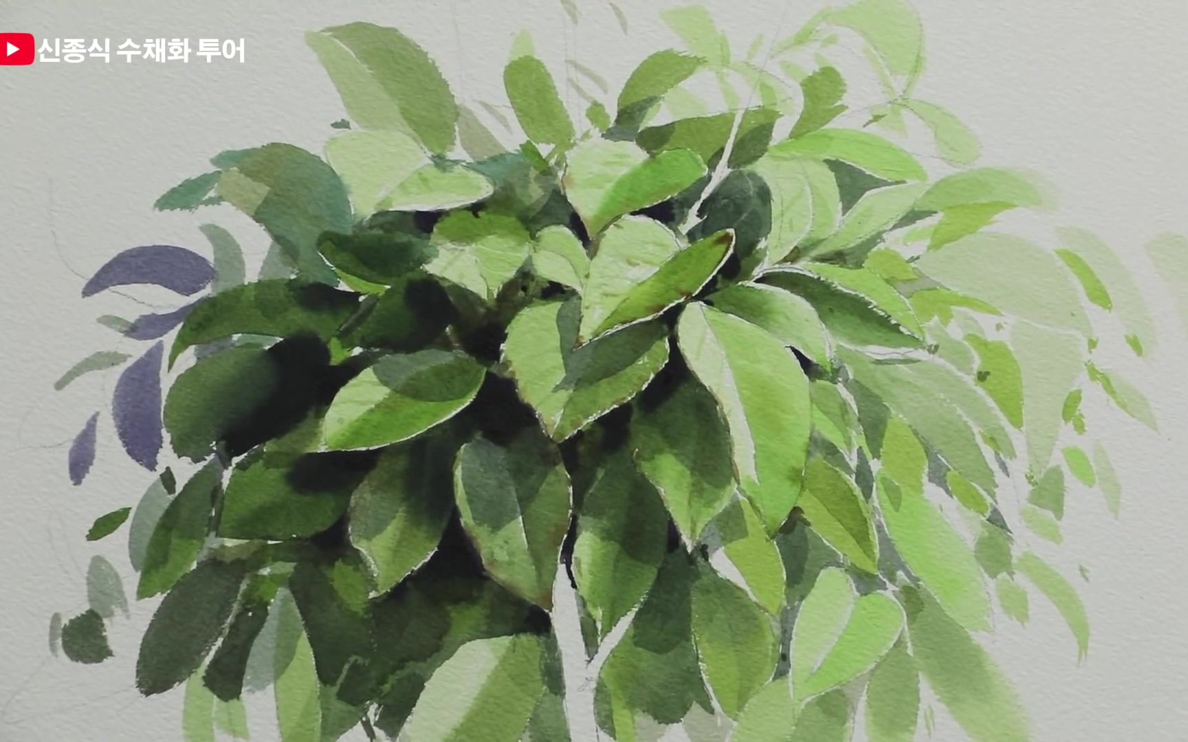 水彩过程【搬运】写实的叶子