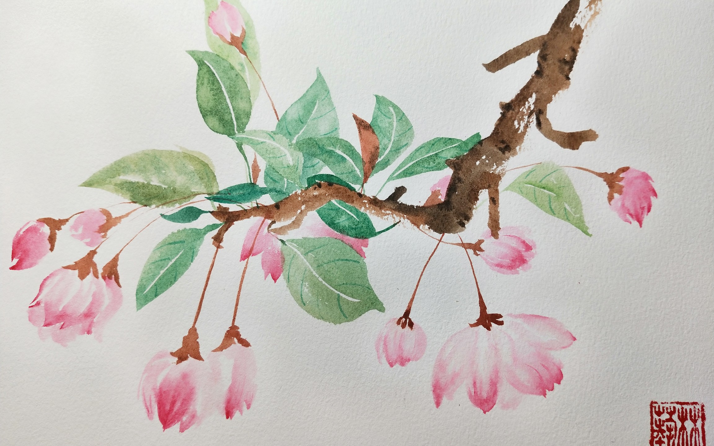 【水彩】无铅笔草稿简单水彩花卉_哔哩哔哩_bilibili