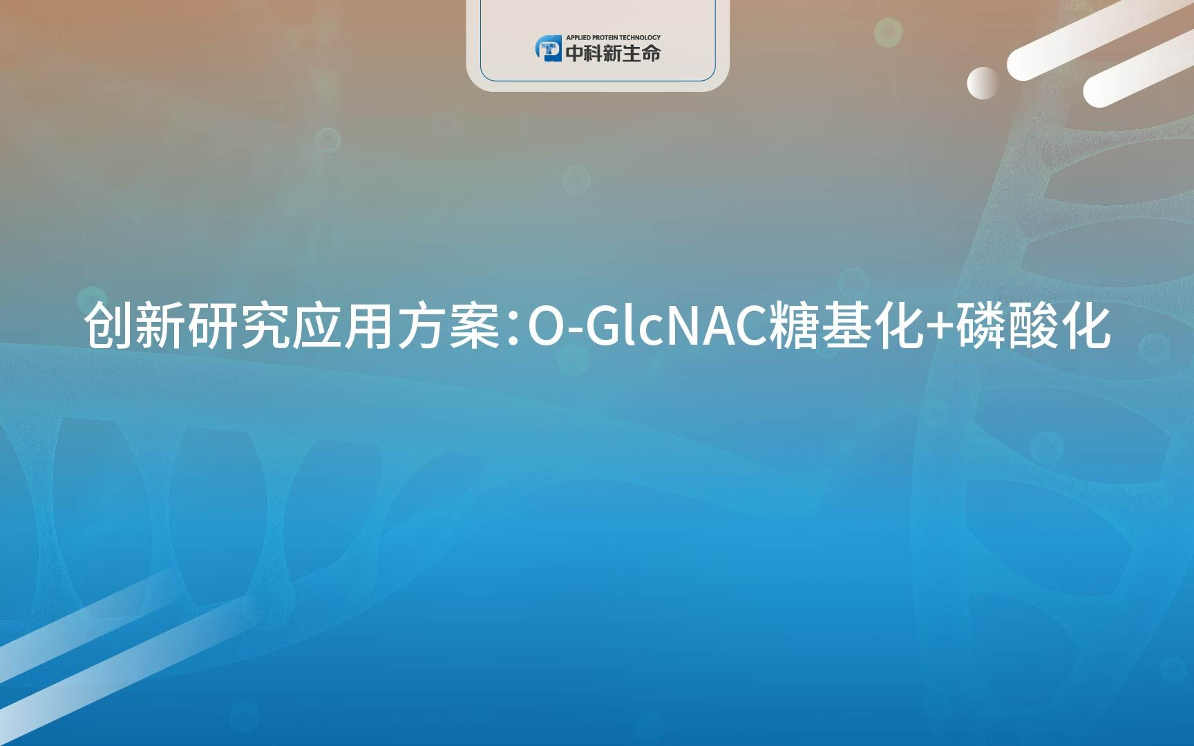 中科新生命创新研究应用方案:OGlcNAC糖基化+磷酸化哔哩哔哩bilibili