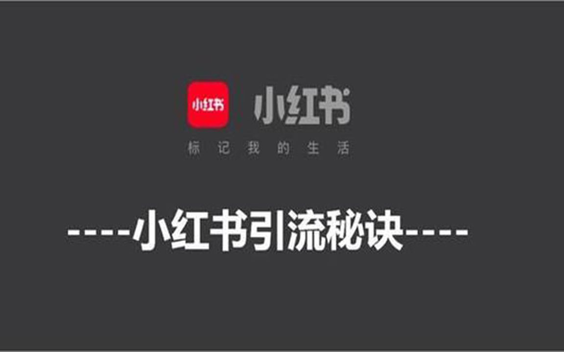 零基础小红书引流:那些新手容易忽悠的坑哔哩哔哩bilibili