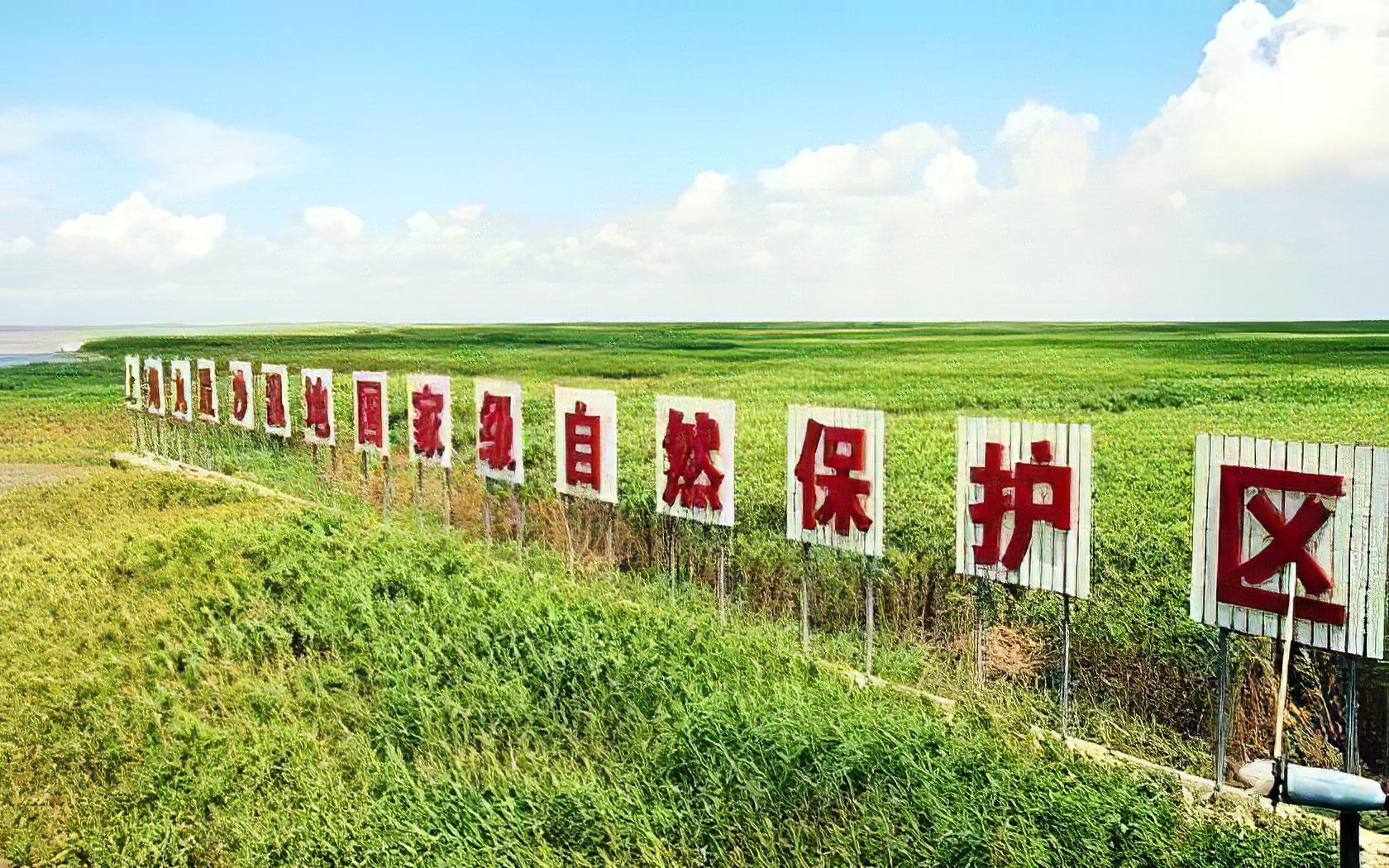 籽岷曾经的纪录片 九段沙湿地 高清高帧率无码重置版哔哩哔哩bilibili