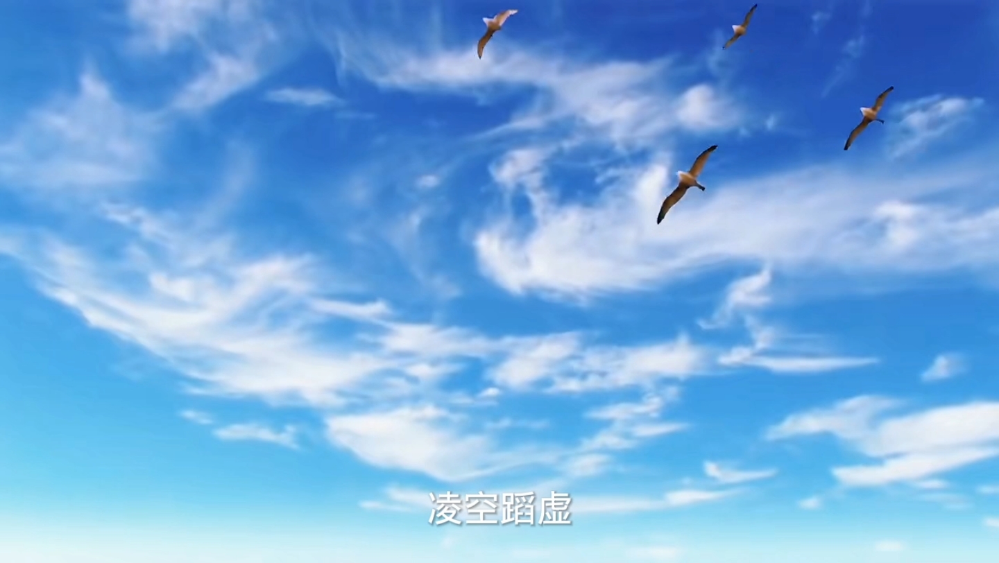 求真务实_哔哩哔哩_bilibili