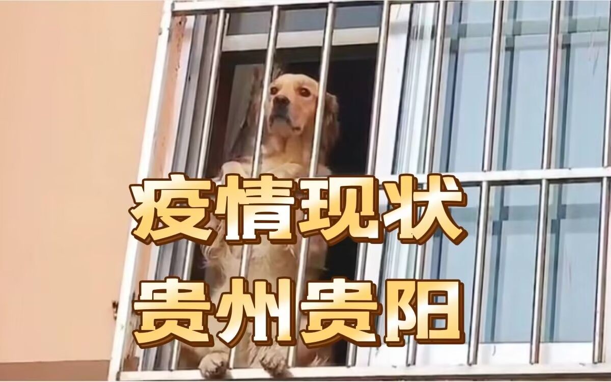 [图]疫情现状【贵州贵阳】