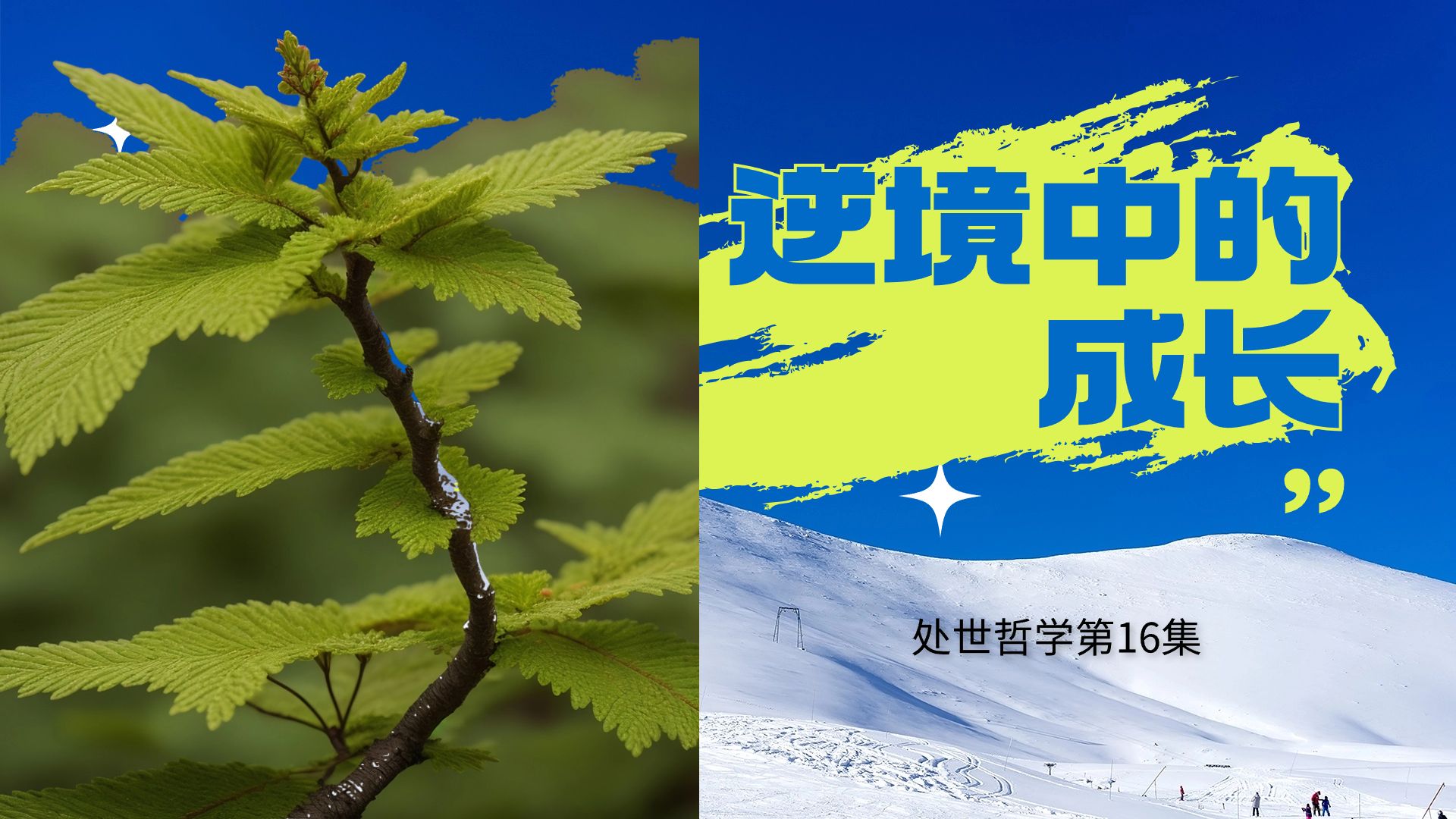 逆境中的成长