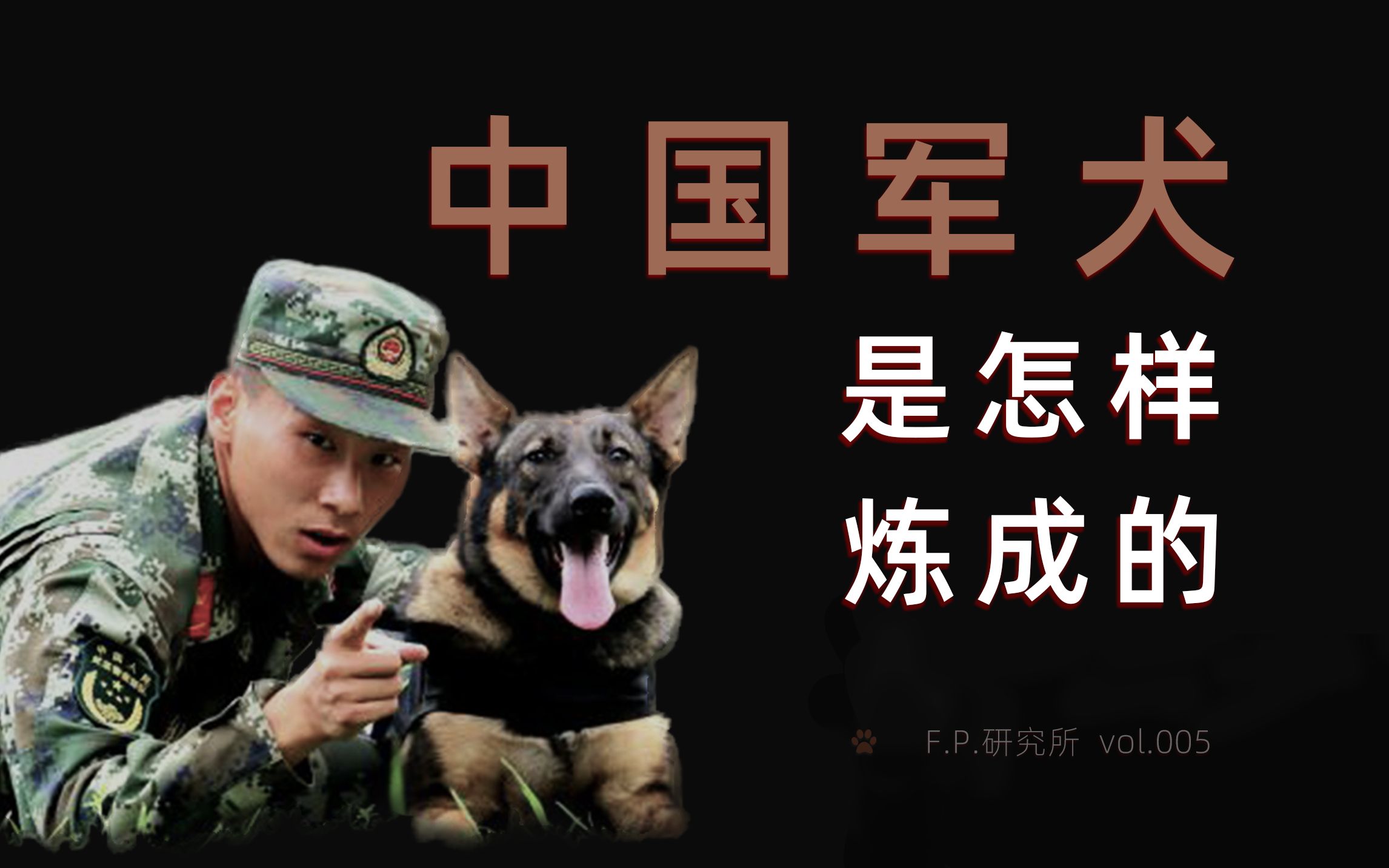 [图]FP研究所 | 宠物狗为什么做不了军犬 | 无言战友沉默英雄