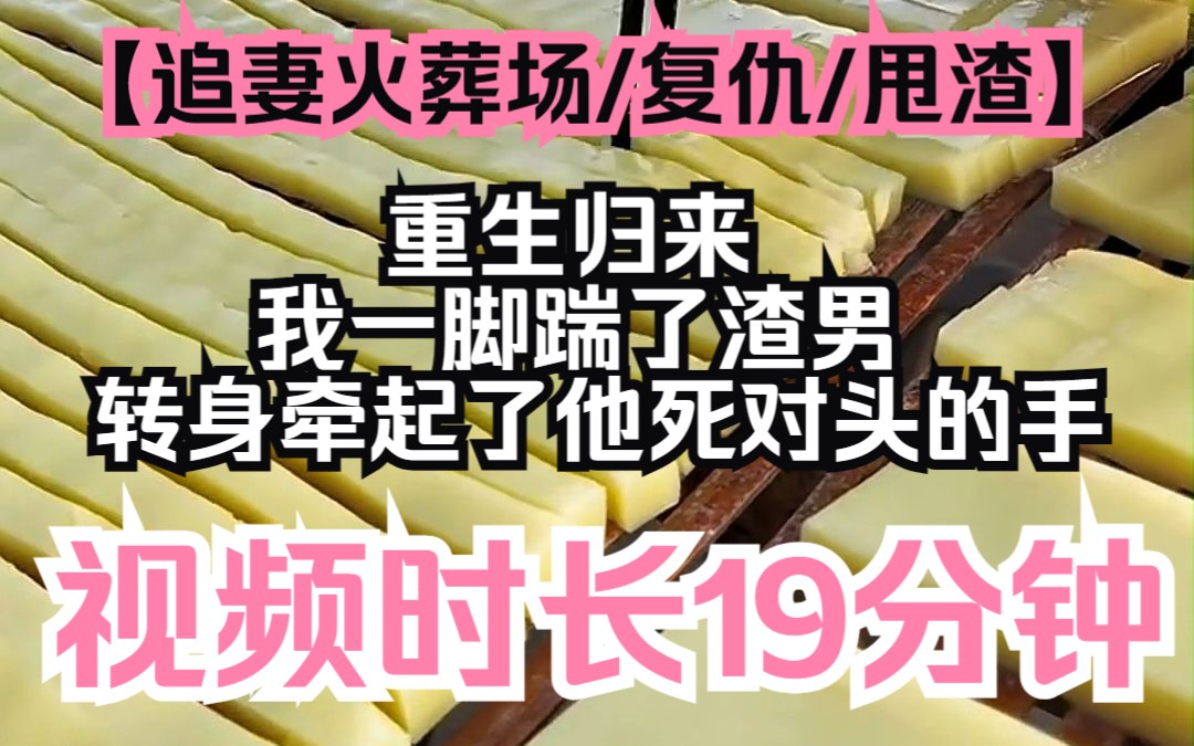 [图]【光照二嫁】追妻火葬场/复仇/甩渣，重生归来，我一脚踹了渣男，转身牵起了他死对头的手