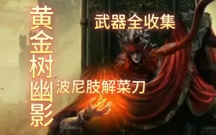 Download Video: 《艾尔登法环黄金树幽影DLC》武器全收集：34波尼肢解菜刀