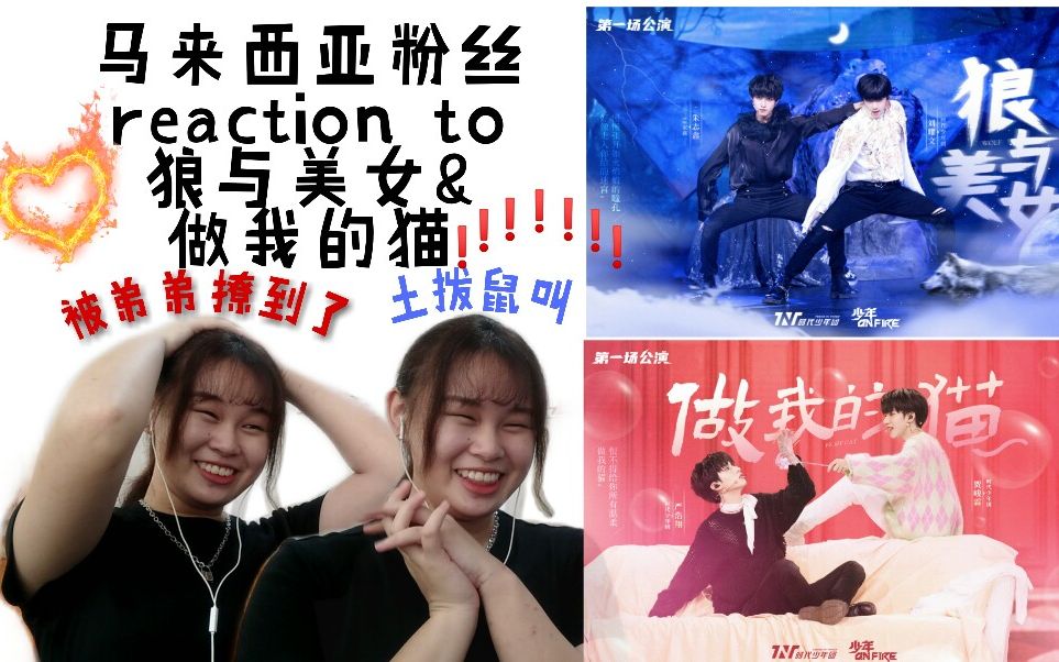 时代少年团reaction马来西亚粉丝reactionto狼与美女做我的猫现在的