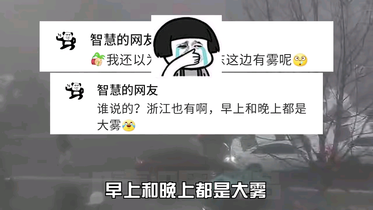 微扑克:网络热梗搞笑wpk合集 这两天是怎么了?全国各地都是大雾!网友:不要惊慌!是我在6馍哔哩哔哩bilibili