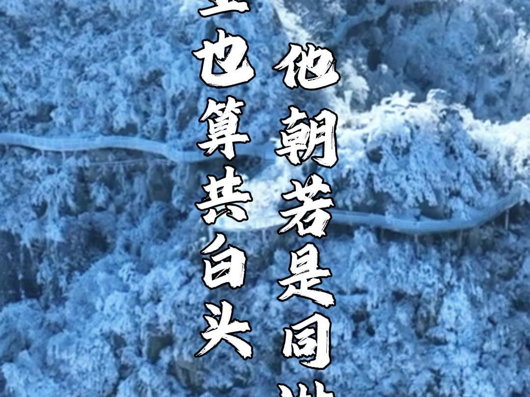 天蒙的雾凇配上此生不换,宿命感拉满了#下雪天镜头是有感情的哔哩哔哩bilibili