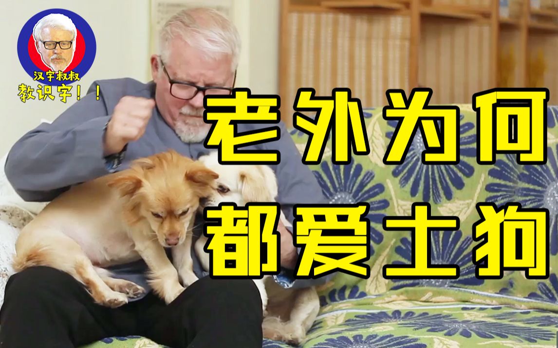 【汉字叔叔】为什么老外都偏爱中华田园犬,中国人却执着养宠物狗?哔哩哔哩bilibili