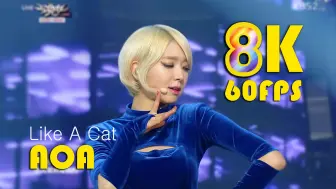 下载视频: 【8K60帧】AOA- Like A Cat (猫步轻悄)_中歌词 画质修复 音质优化 (141205音乐银行) 女团现场性感歌舞 热舞