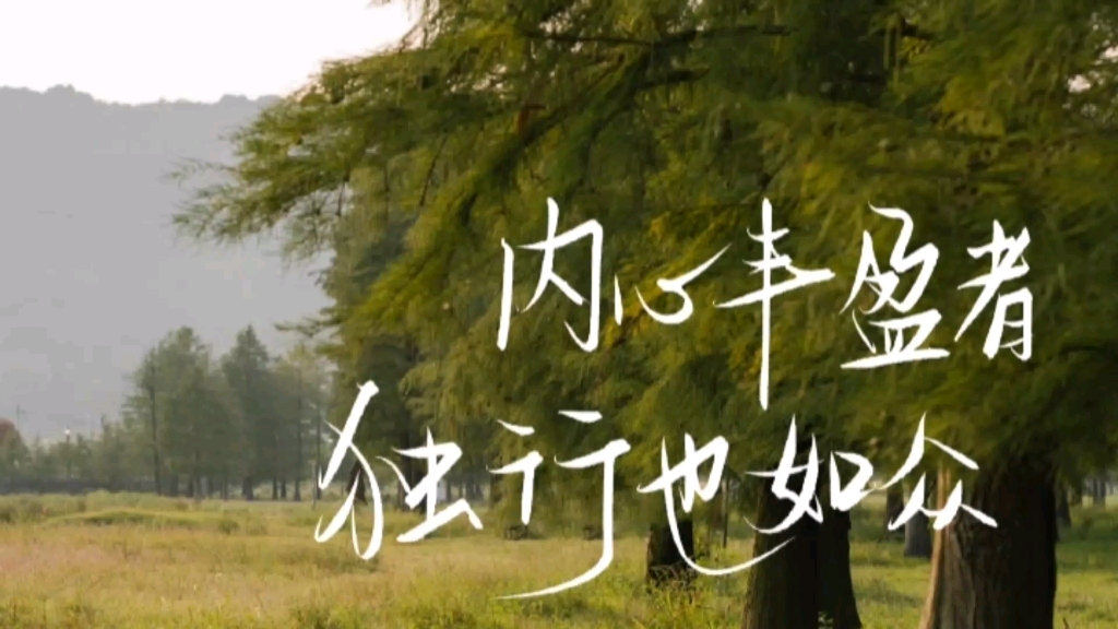 "内心丰盈者,独行也如众"祝你独自一人也能快乐