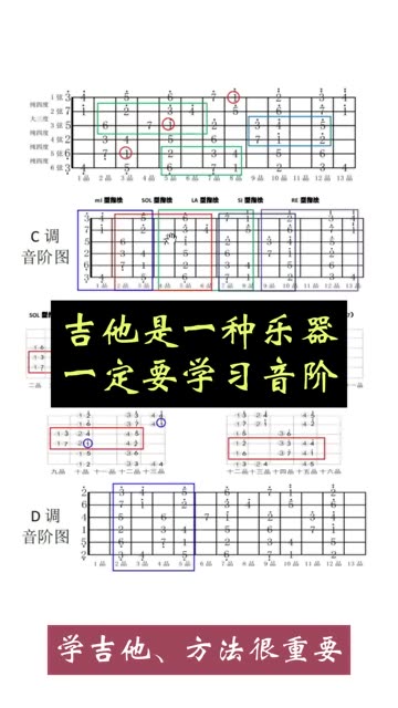 吉他琴弦排列图片