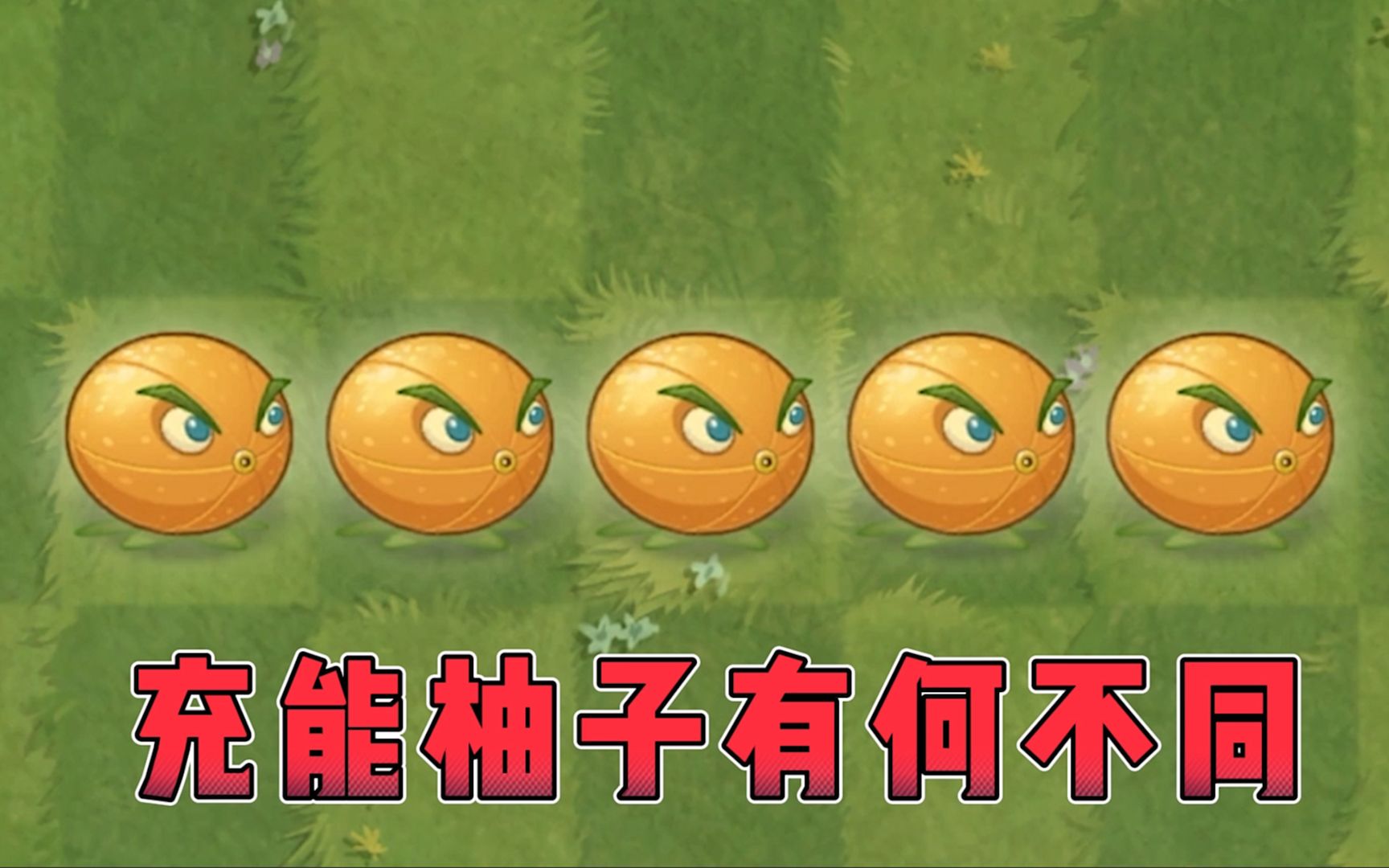 植物大战僵尸:1-5阶充能柚子都有什么区别?