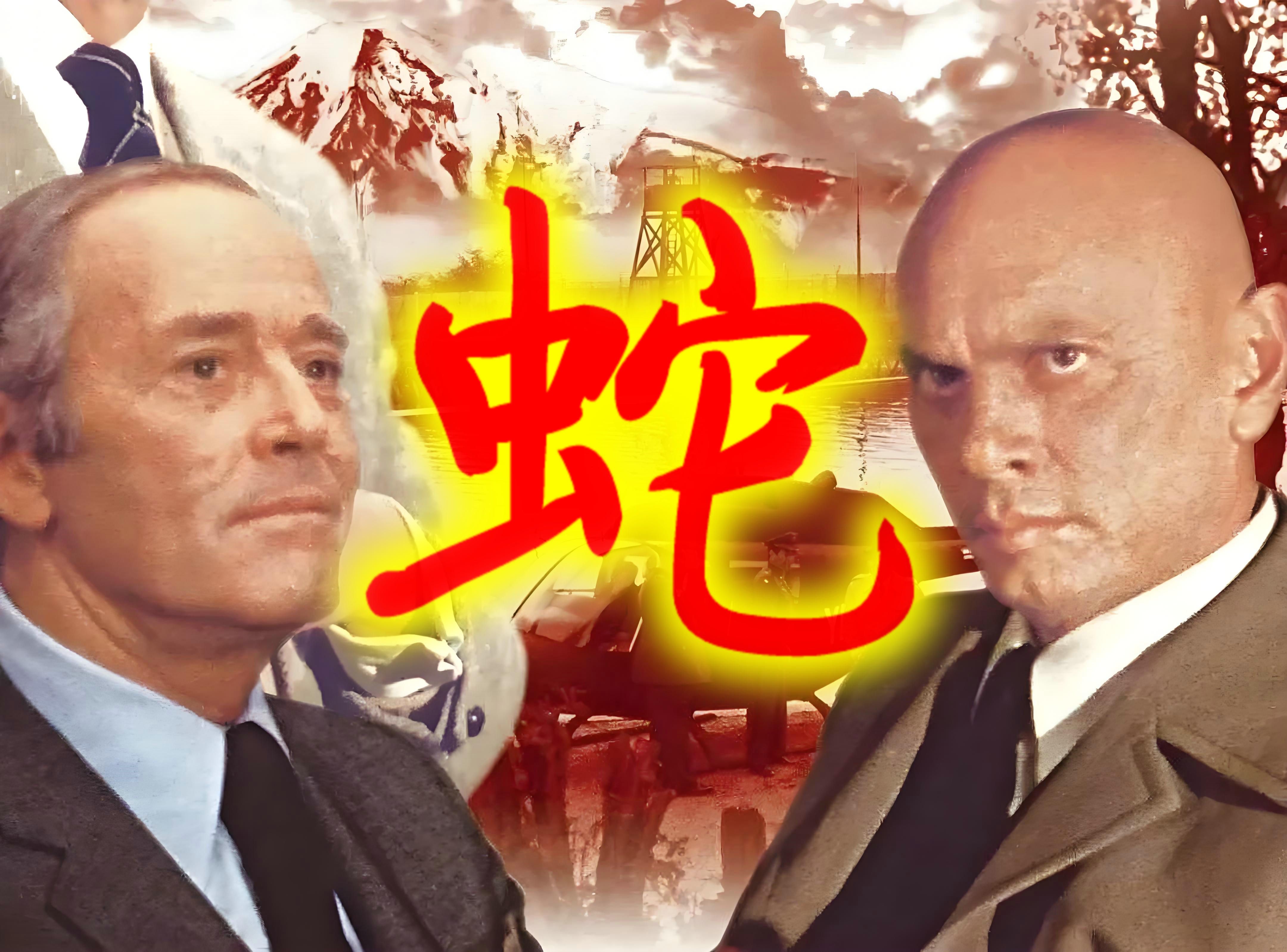 《蛇》| 冷战大片 | 法国 | 1973年 | 上译 | 1080P哔哩哔哩bilibili