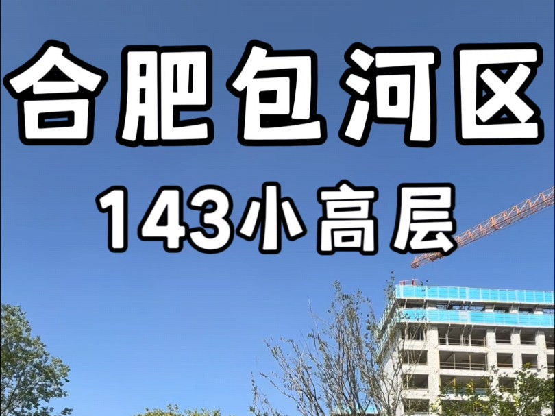 合肥包河区143小高层两梯两户杉杉奥特莱斯旁250万起#合肥新房#合肥新房推荐#合肥小高层哔哩哔哩bilibili