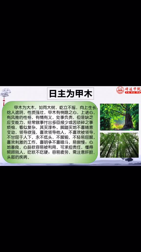 八字五行属性哔哩哔哩bilibili