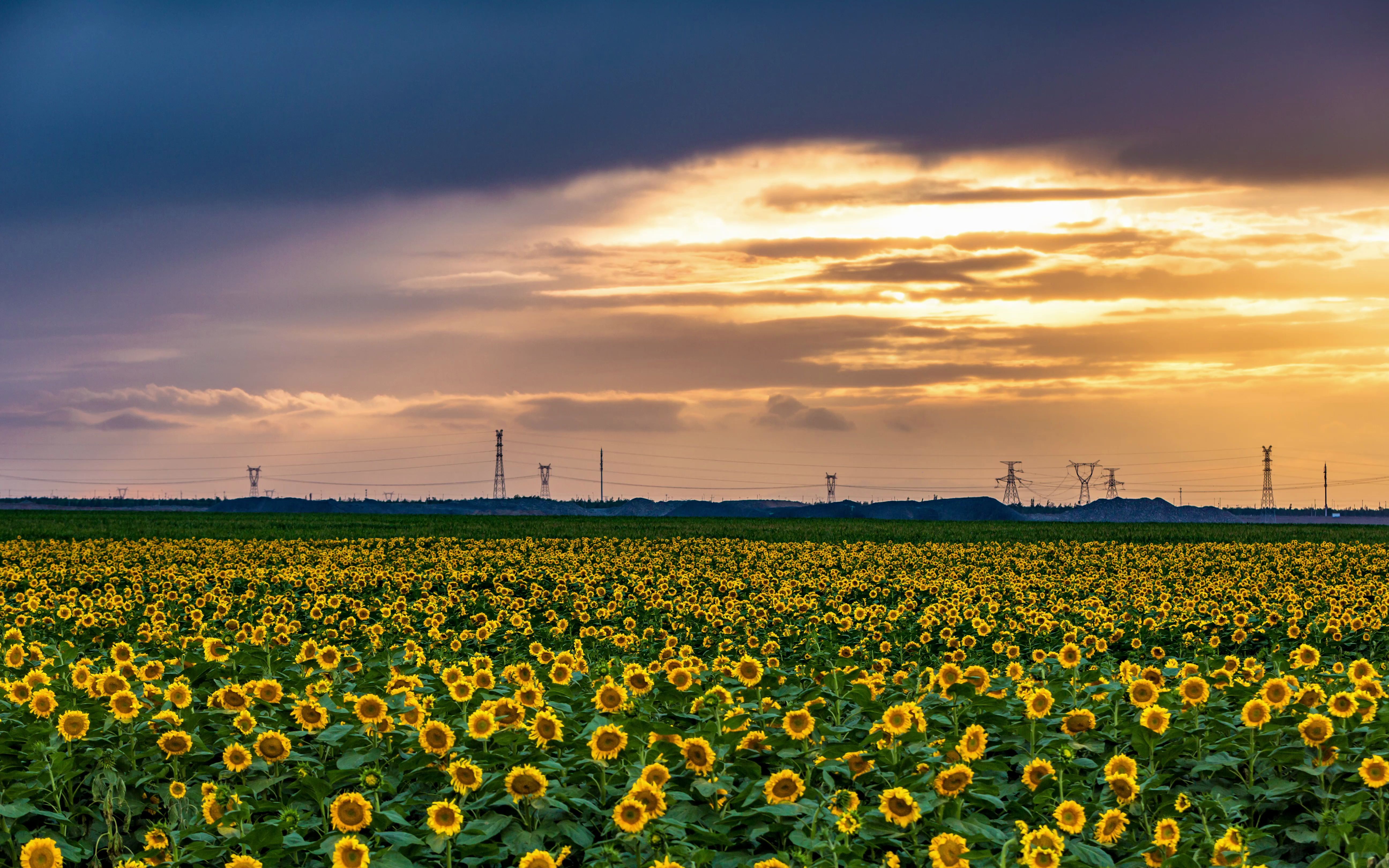 圆脸kelly_对称构图