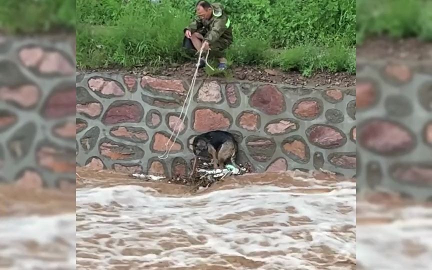 [图]洪水中感人的瞬间，不放弃任何生命，洪水无情人有情