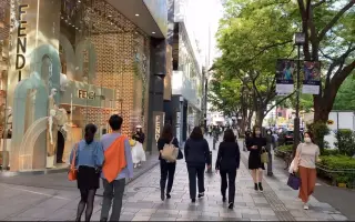 表参道 搜索结果 哔哩哔哩 Bilibili 表参道 搜索结果 哔哩哔哩 Bilibili