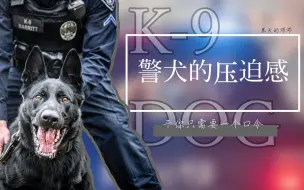 Télécharger la video: 【来自警犬的压迫感】干你只需要一个口令。