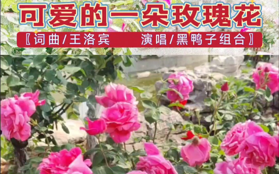 萌萌哒歌曲(感觉自己萌萌哒歌曲)