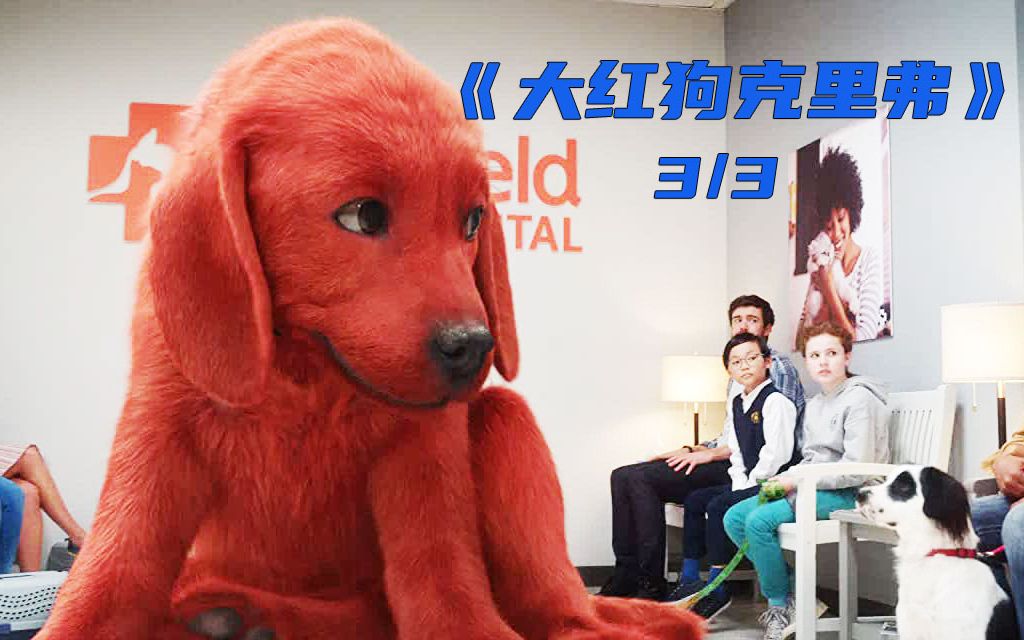 红色大狗受到大家喜爱