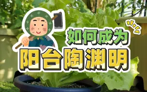 Tải video: 《如何成为阳台陶渊明》：论在阳台种菜自给自足且不长虫子的可能性  |  阳台种菜种花新手指南之种什么蔬菜不容易长虫子？阳台改造空间利用！【汪淑芬的小阳台】