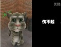 网络歌手你伤不起啊.哔哩哔哩bilibili