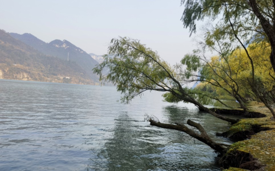 湖北三峡宜昌“洱海”—平善坝 导航:宜昌点军平善坝村(山顶上峰尖村可观三峡第一湾~明月湾)哔哩哔哩bilibili