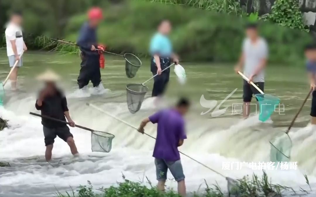 危险!危险!危险!厦门汀溪水库惊现捕鱼大军!哔哩哔哩bilibili