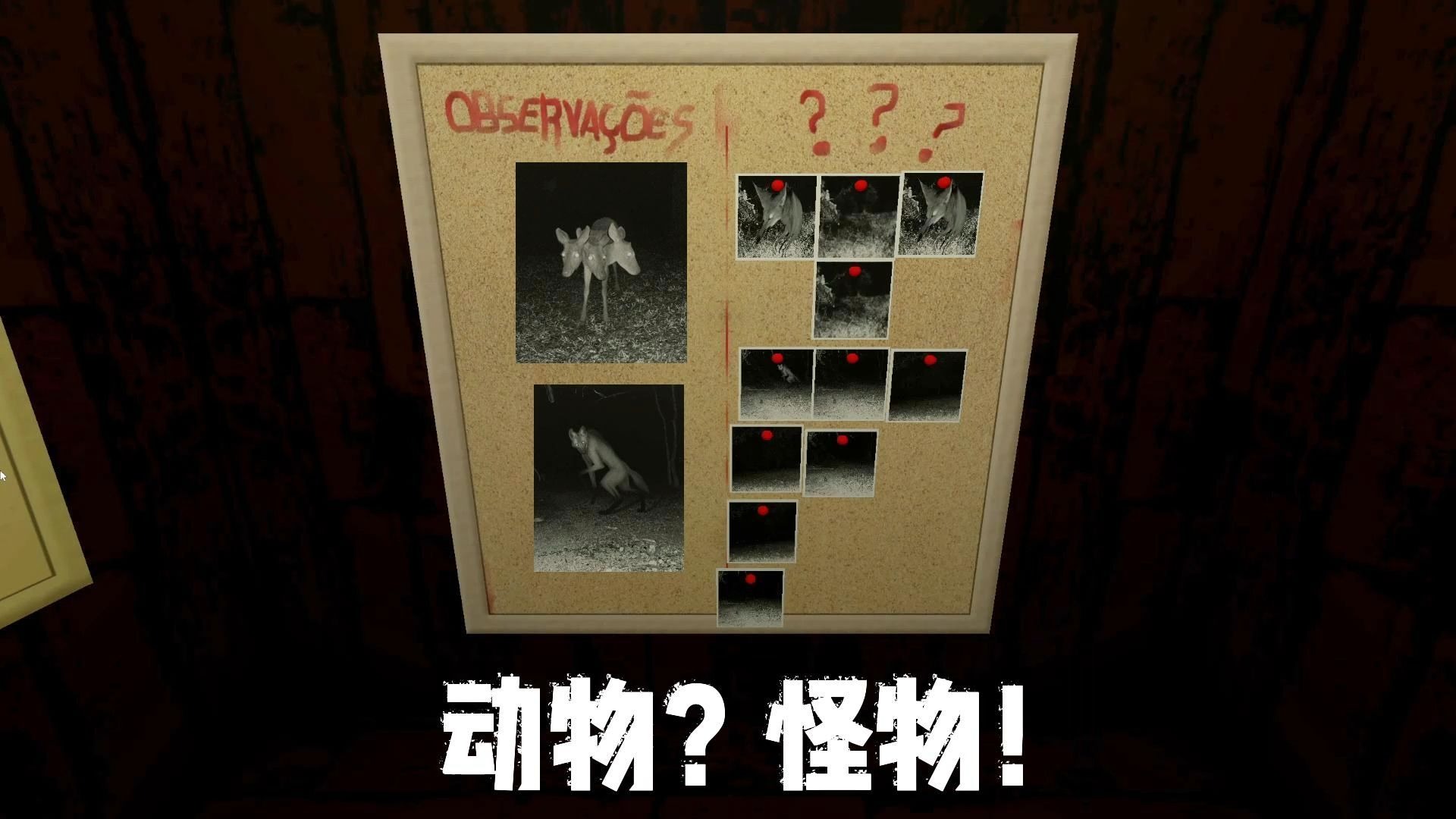 它们不是动物,是怪物!