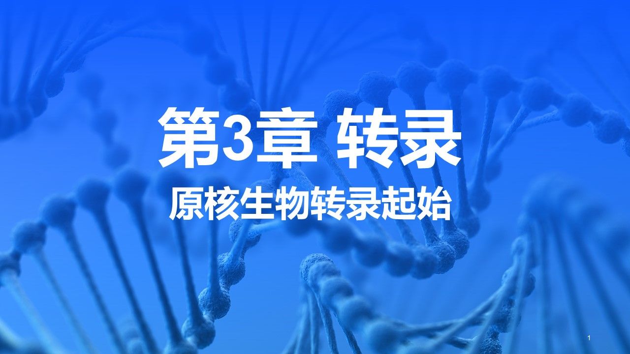 【分子生物学】第3章 转录 | 第3节 RNA的转录——原核生物转录过程(转录起始)哔哩哔哩bilibili