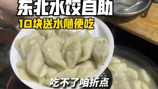 东北工地门口大姨的水饺自助10块一位随便吃还能送瓶汽水。你们感觉怎么样？ 哔哩哔哩 Bilibili