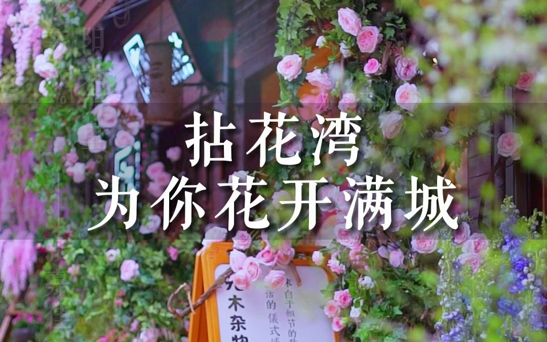 拈花湾为你花开满城,美好就在身边.哔哩哔哩bilibili