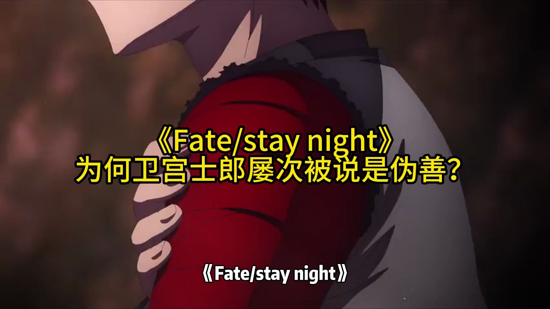 《Fate/stay night》为何卫宫士郎屡次被说是伪善?哔哩哔哩bilibili