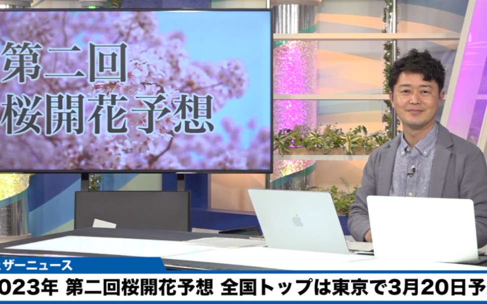 二回 桜開花予想】全国トッフ92は東京で3月20日 平年乲かやや早い